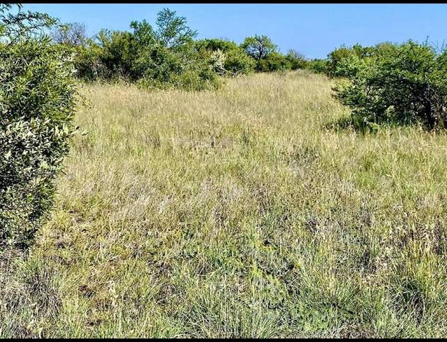 FARM FOR SALE IN REIVILO RURAL